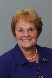 Profile image for Councillor Jane Palmer